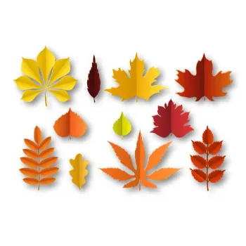 Paper Leaf